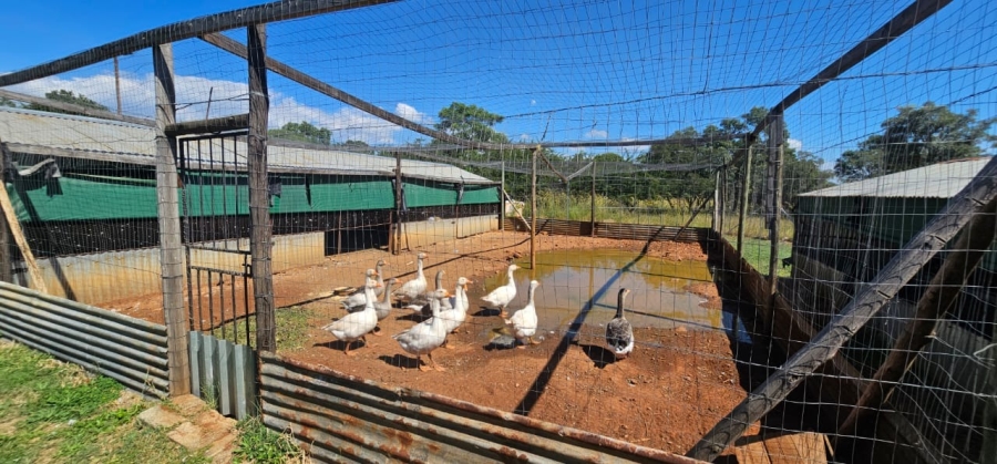 4 Bedroom Property for Sale in Mooinooi North West